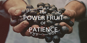 The Power Fruit of Patience